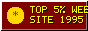 Top 5% Web Site