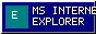 MS Internet Explorer